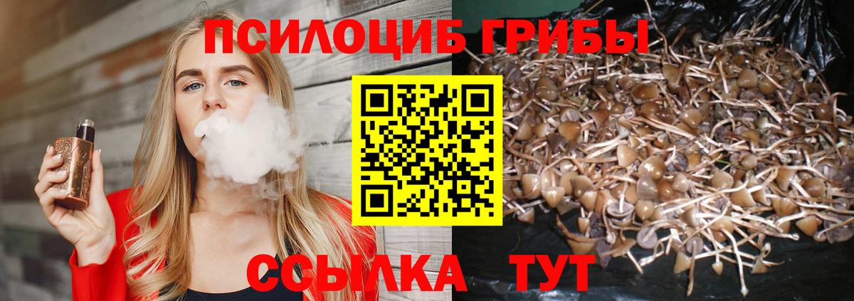 Псилоцибиновые грибы мухоморы  Галлюциногенные грибы Cubensis  Вход с VPN  Вышний Волочёк 