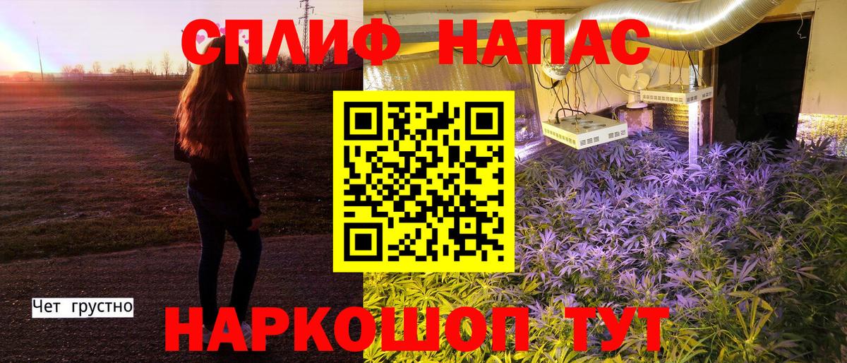 Шишки марихуана Amnesia Вышний Волочёк